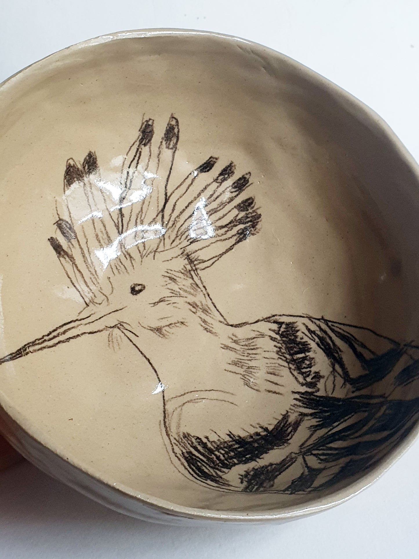 Bol ø 16 cm dessiné huppe fasciée