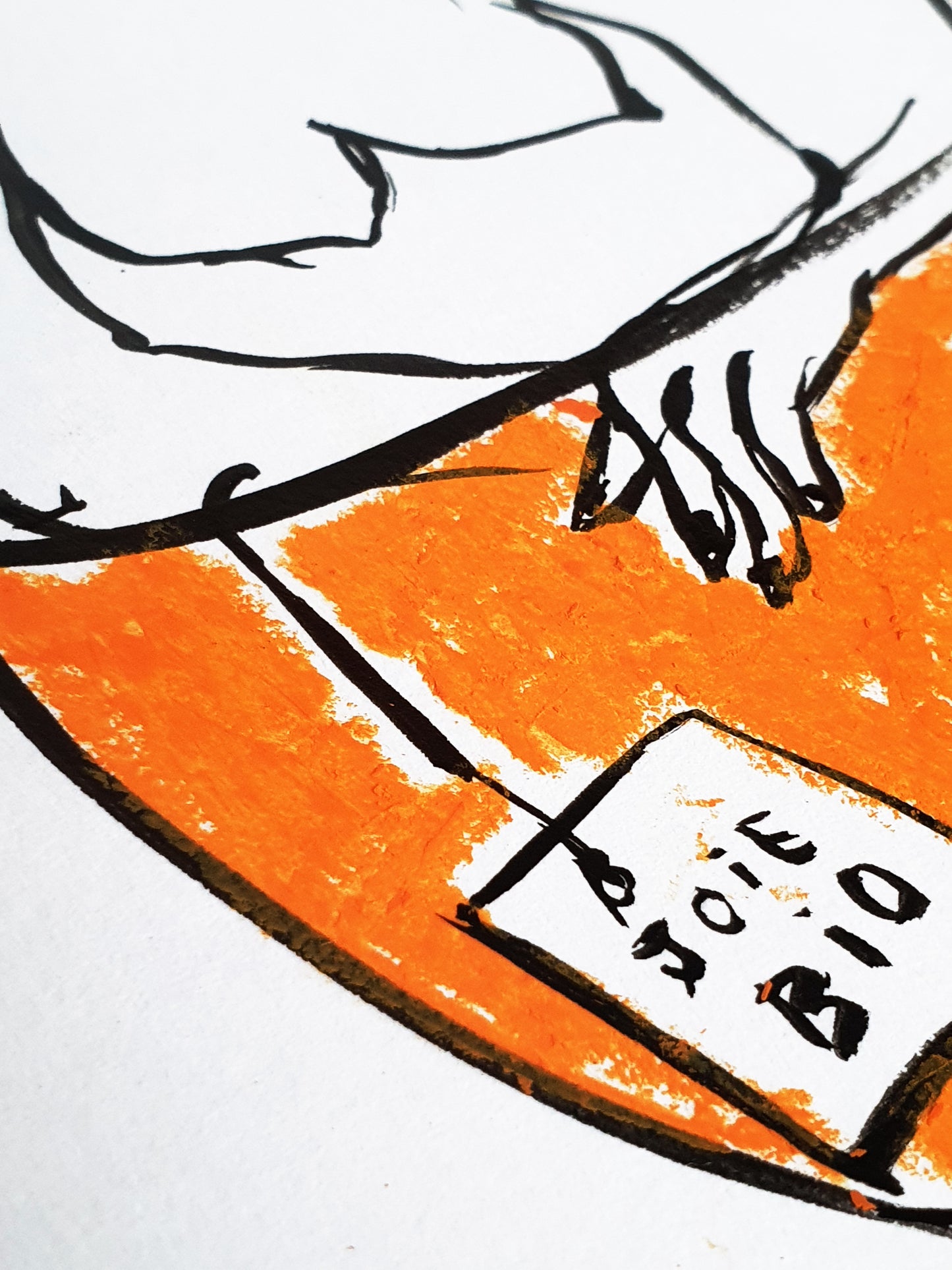 SÉRIE ORANGE / joie bio