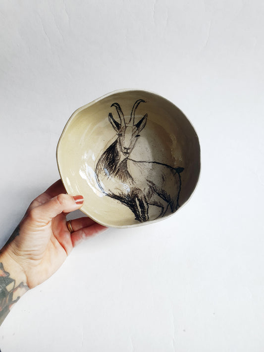 Bol ø 16 cm dessiné Isard