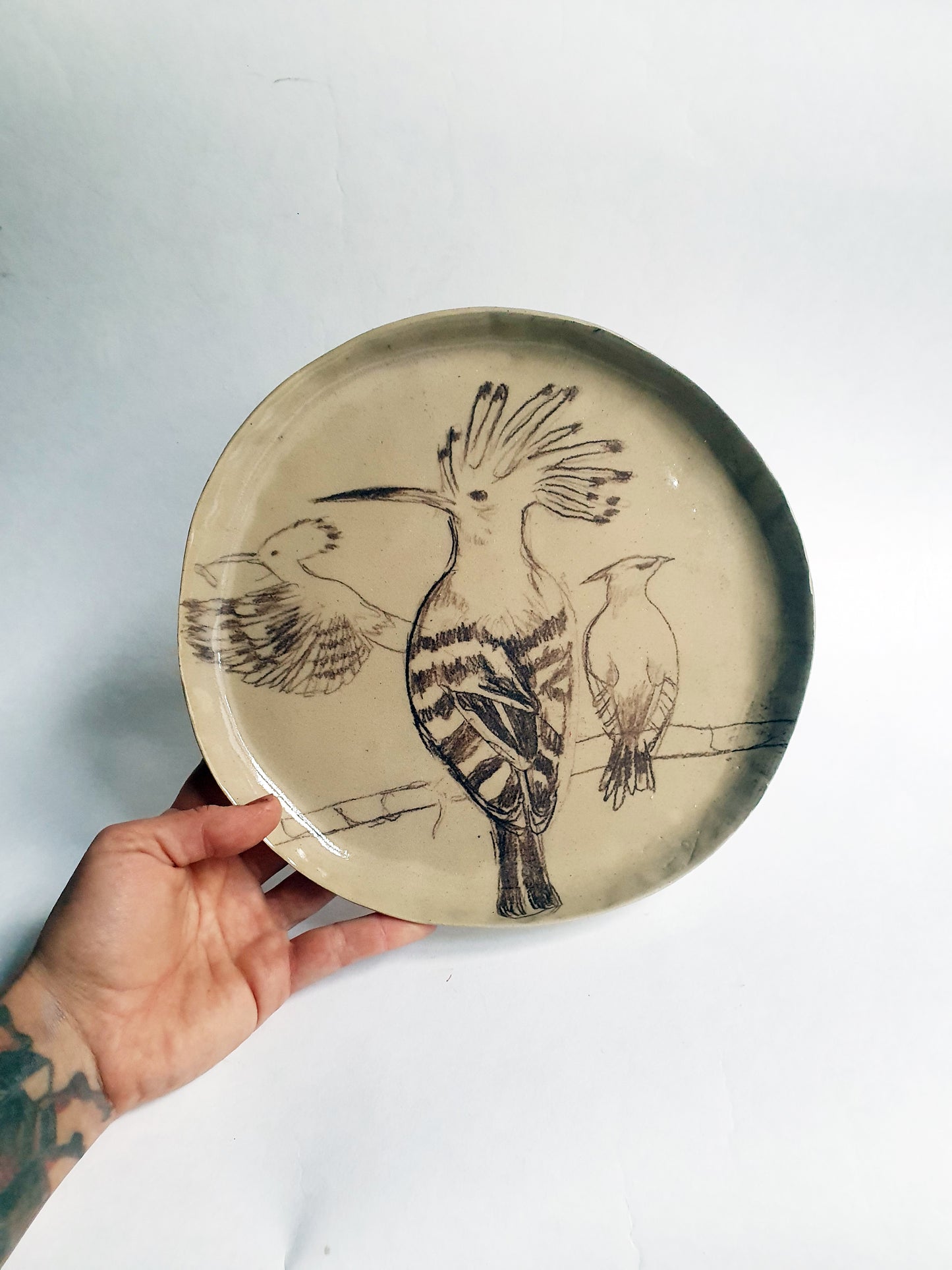 Assiette ø 24 cm huppe fasciée