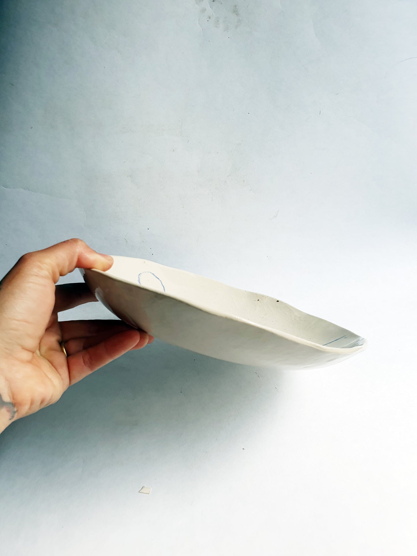 Plat oiseaux grès porcelainique ø 25 cm