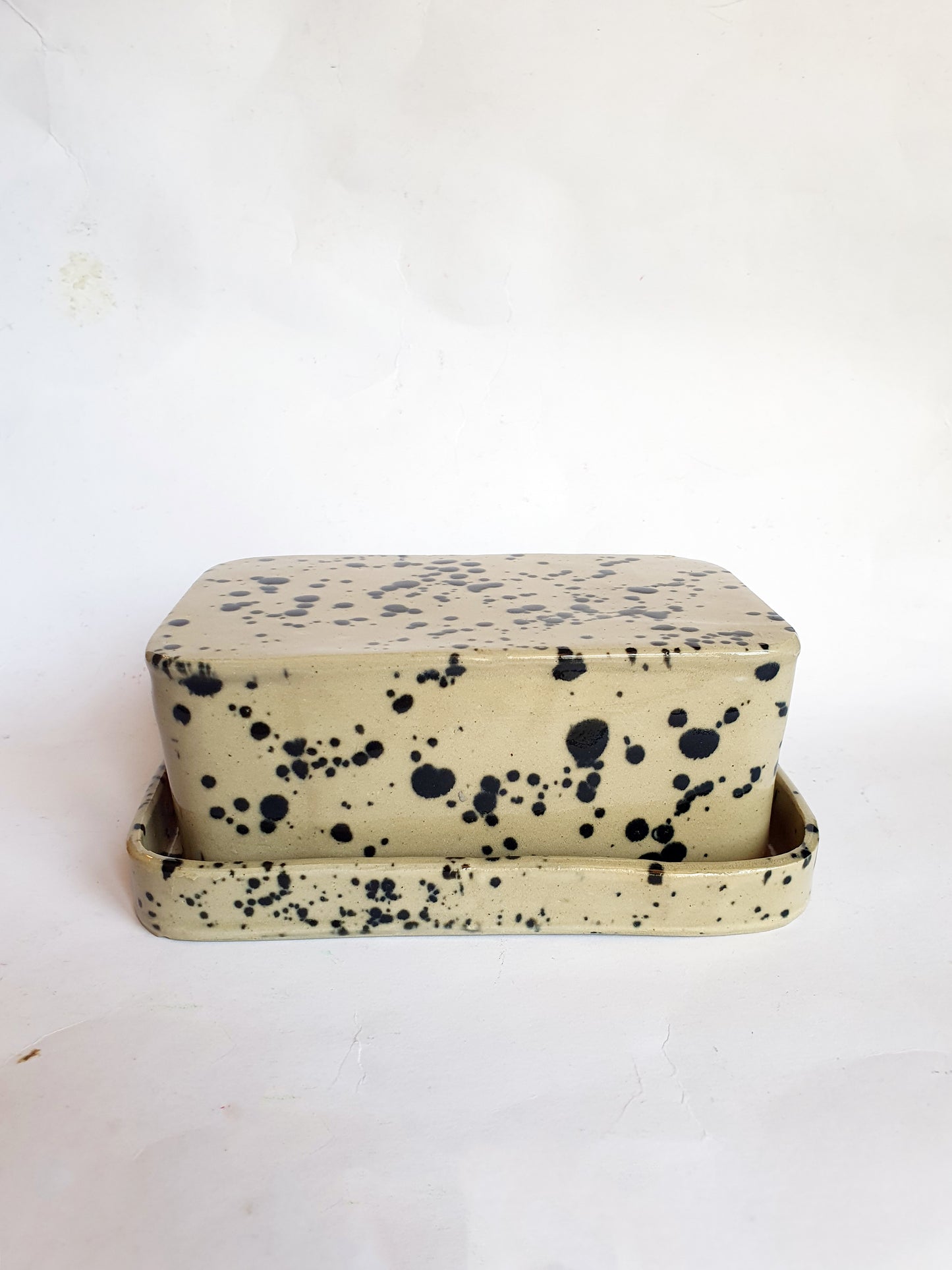 Beurrier beige et noir à tâches