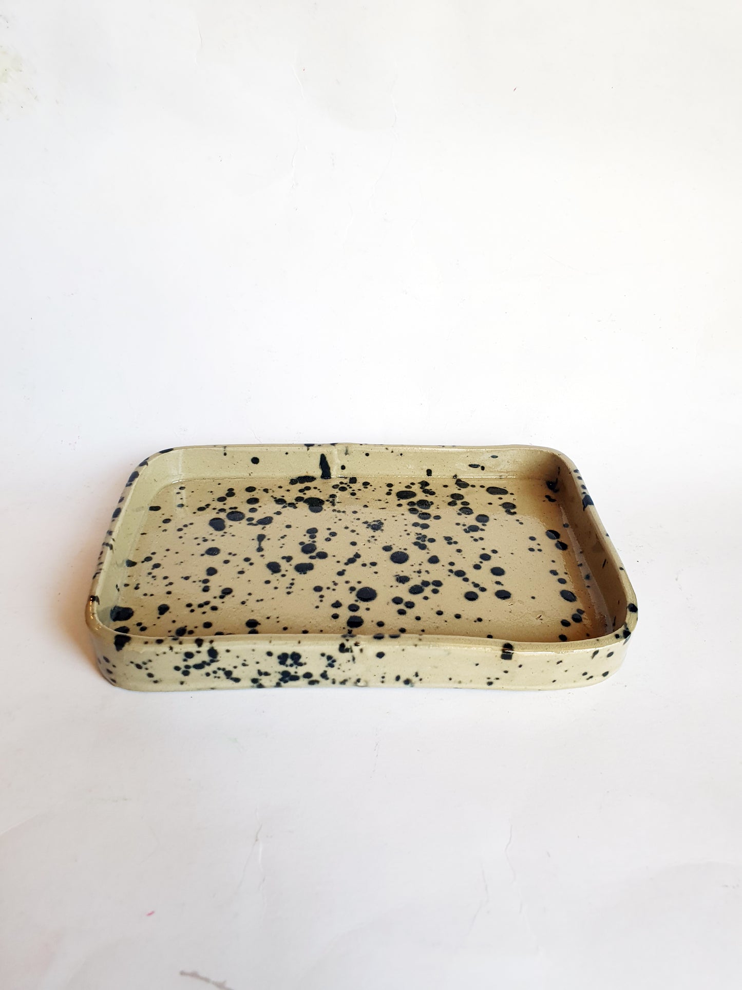 Beurrier beige et noir à tâches