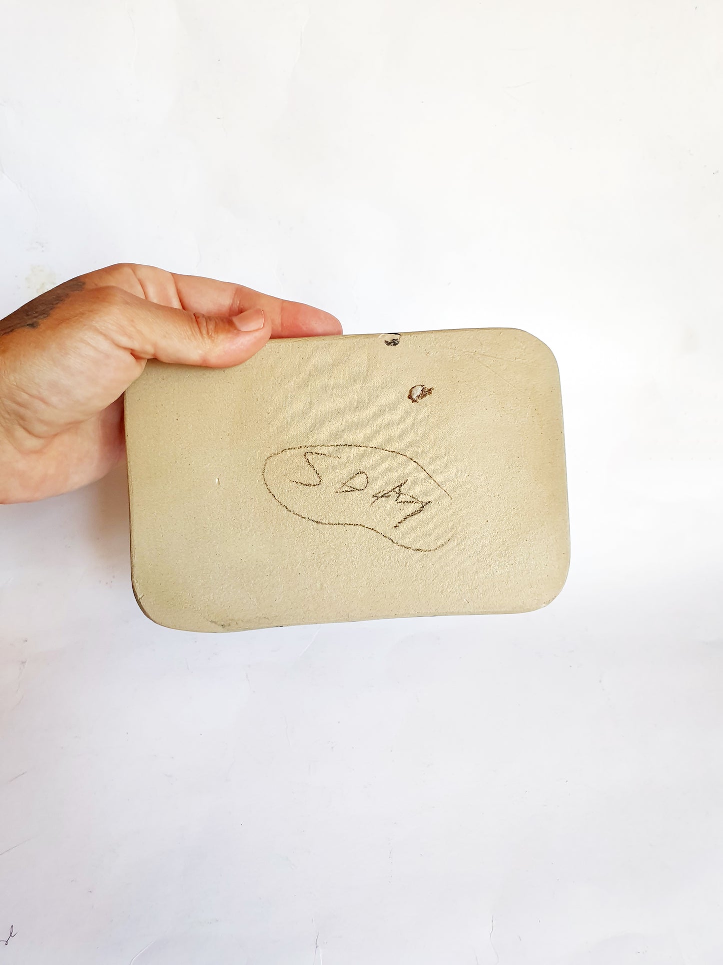 Beurrier beige et noir à tâches