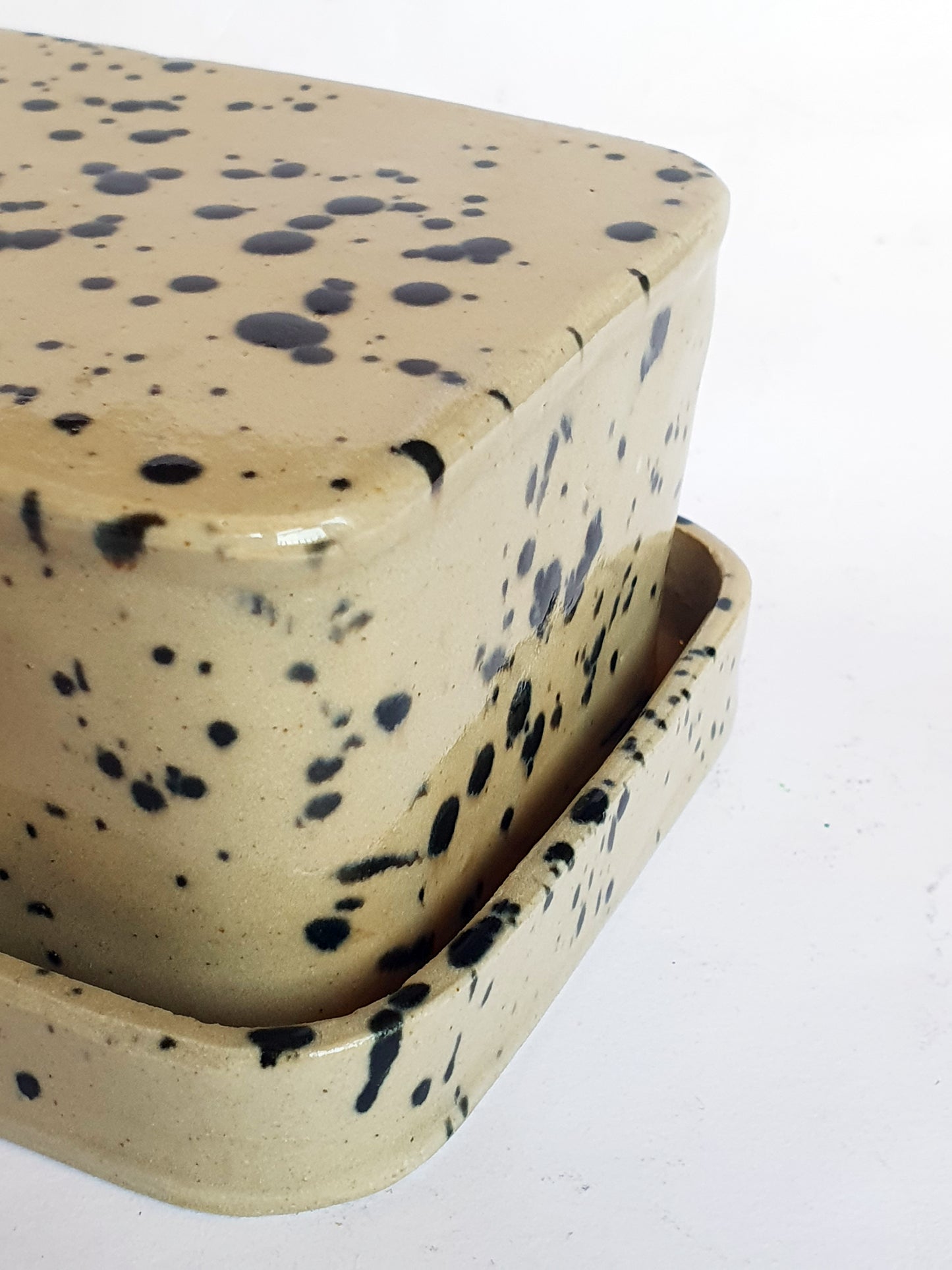 Beurrier beige et noir à tâches