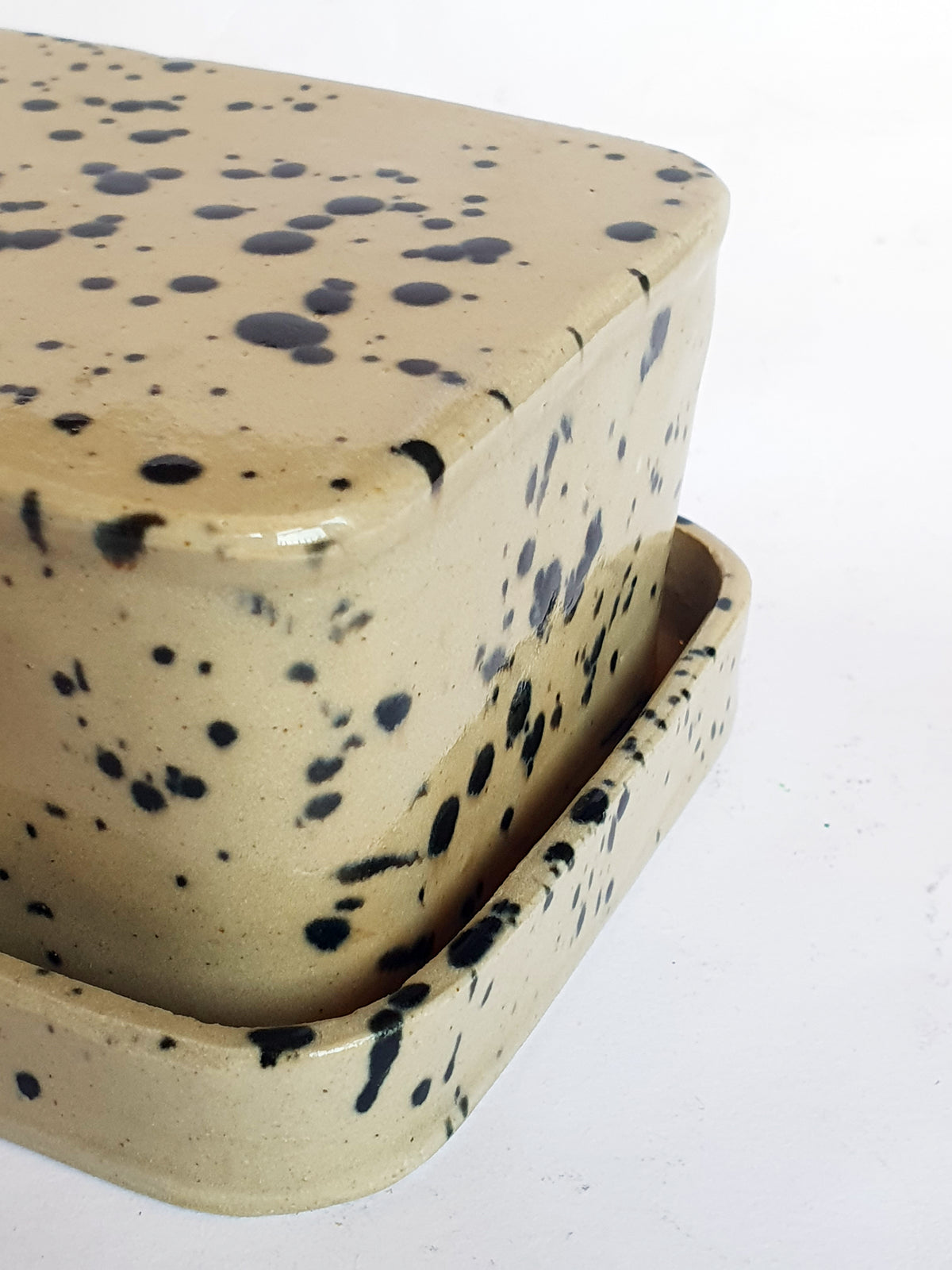 Beurrier beige et noir à tâches