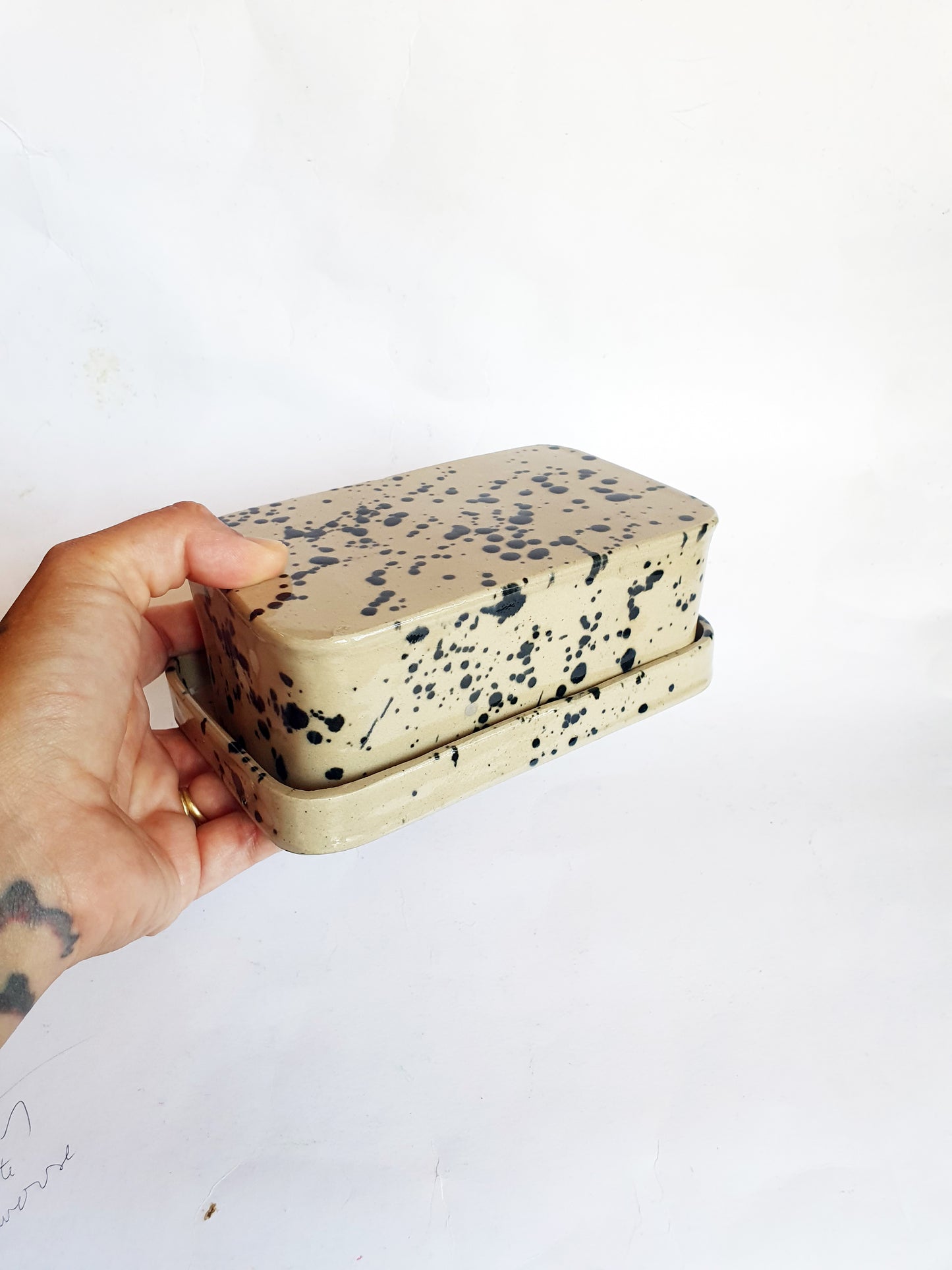 Beurrier beige et noir à tâches