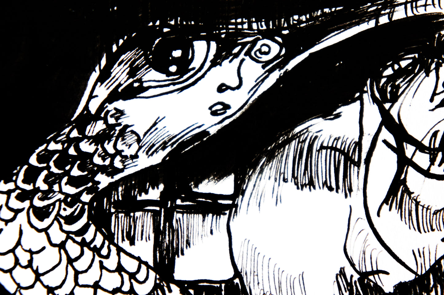 PROMENADE NOIR ET BLANC